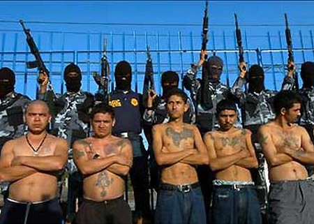 Tribal Leadership